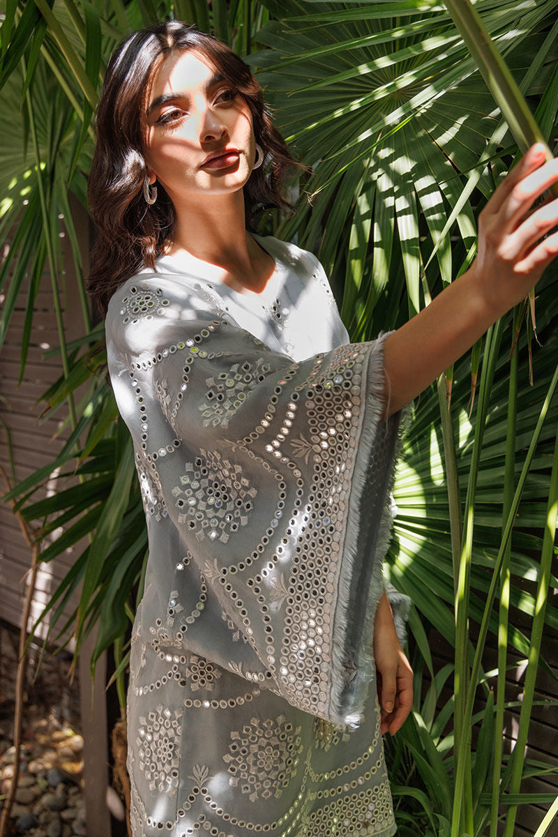 Noorah Luxe Pret '24 - Summiya (RTS) photo 3