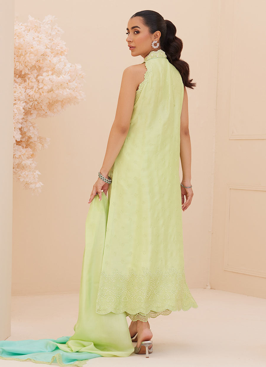 Zaza '25 - Pia Embroidered Raw Silk Shirt and Dupatta