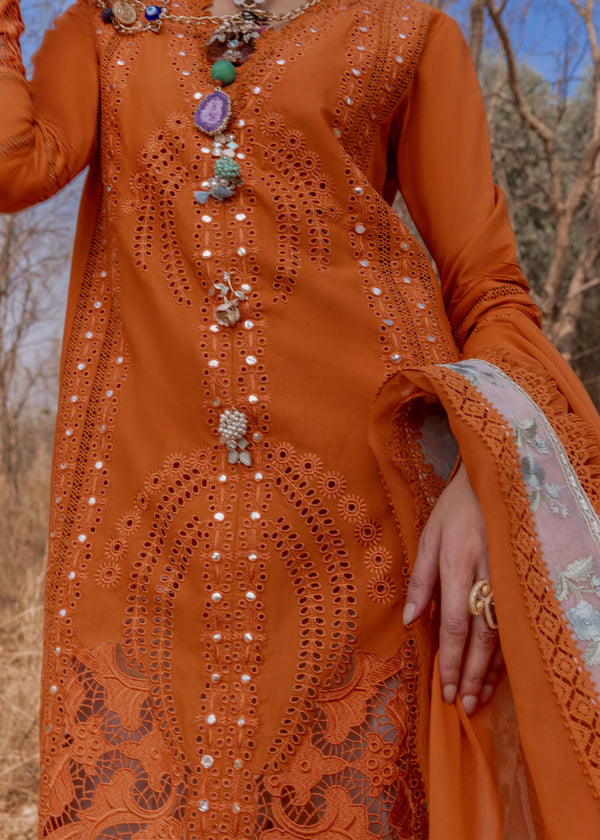Lawn '25 - SHAMS-B