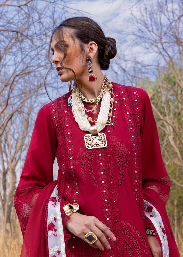 Lawn '25 - SHAMS-A