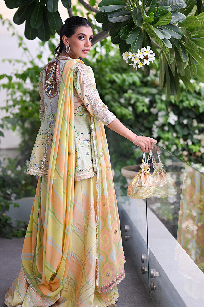 Diwali Edit '24 - Elina