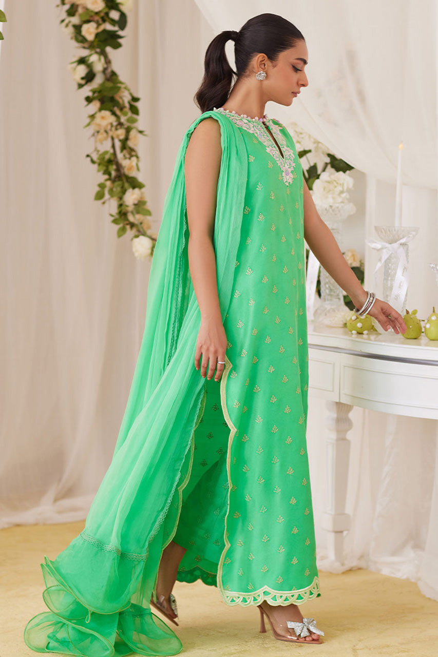 Lea Fall'24 - Toucan Shirt And Dupatta