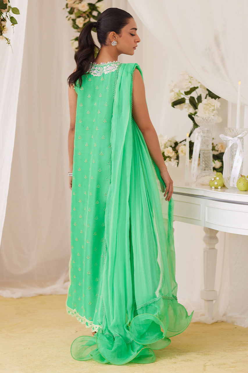 Lea Fall'24 - Toucan Shirt And Dupatta