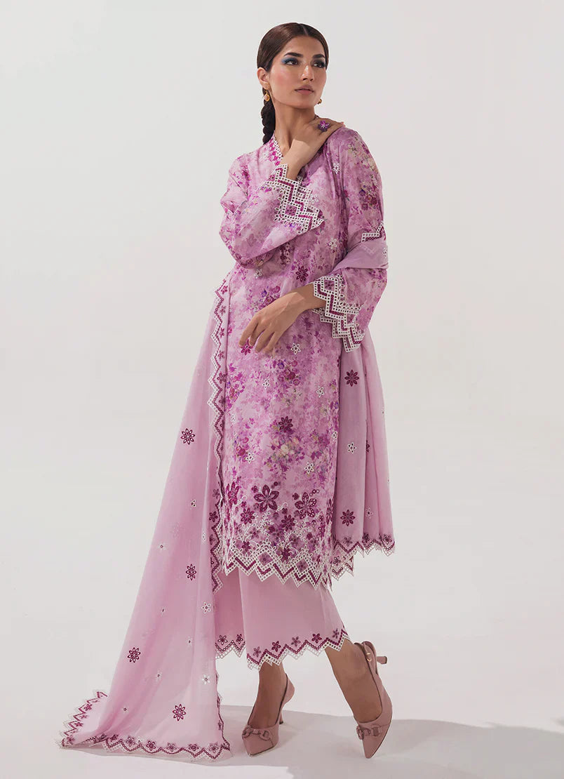 Spring Basics'25 - IMPRSS-213951-12549
