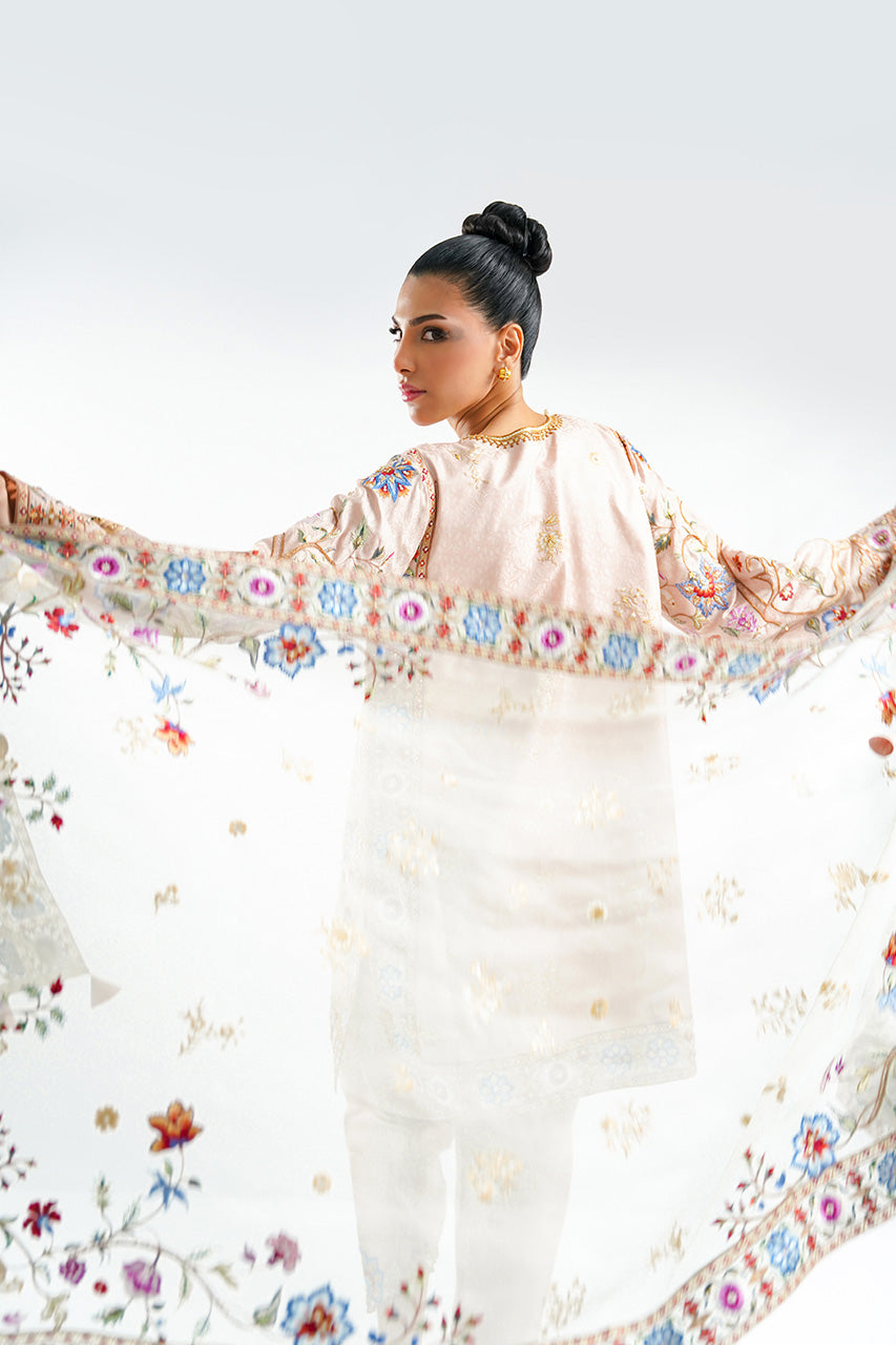 Inaya Festive '24 - Syris