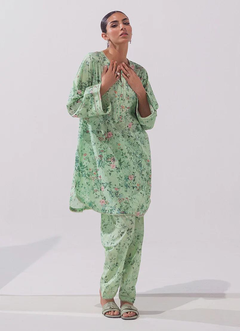 Spring Basics'25 - IMPRSS-213915-11893