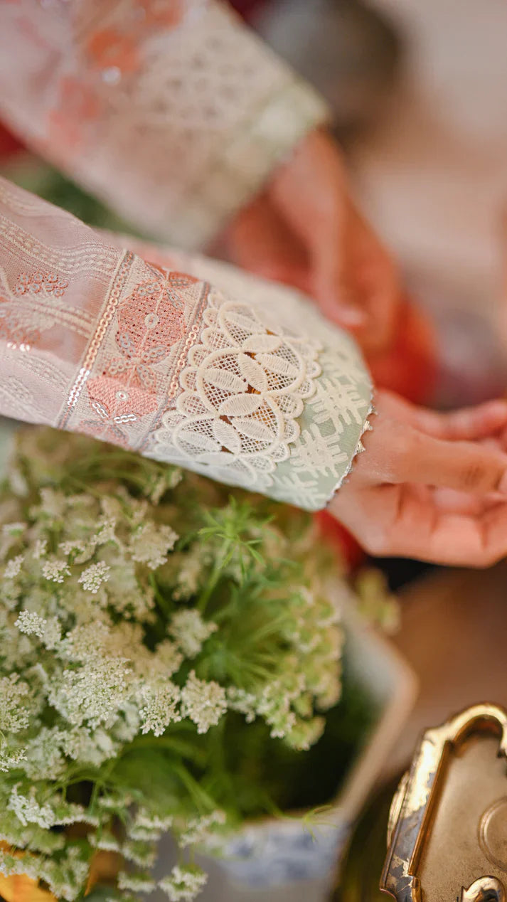 Noura Ramadan'25- Amani Set