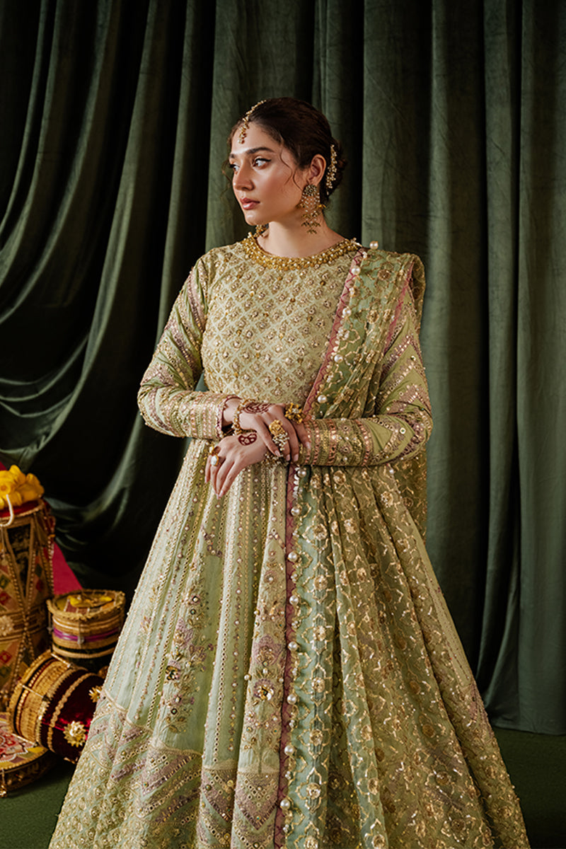 Dur-E-Nawab Festive Unstitched Vol V - Mastani (RTS) photo 3