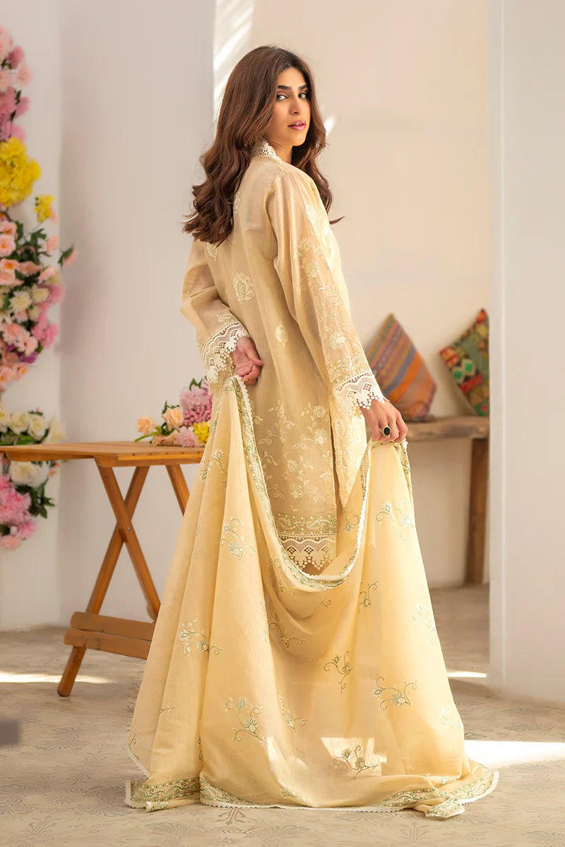 Ramzan Eid Festive'25 - Noor 11