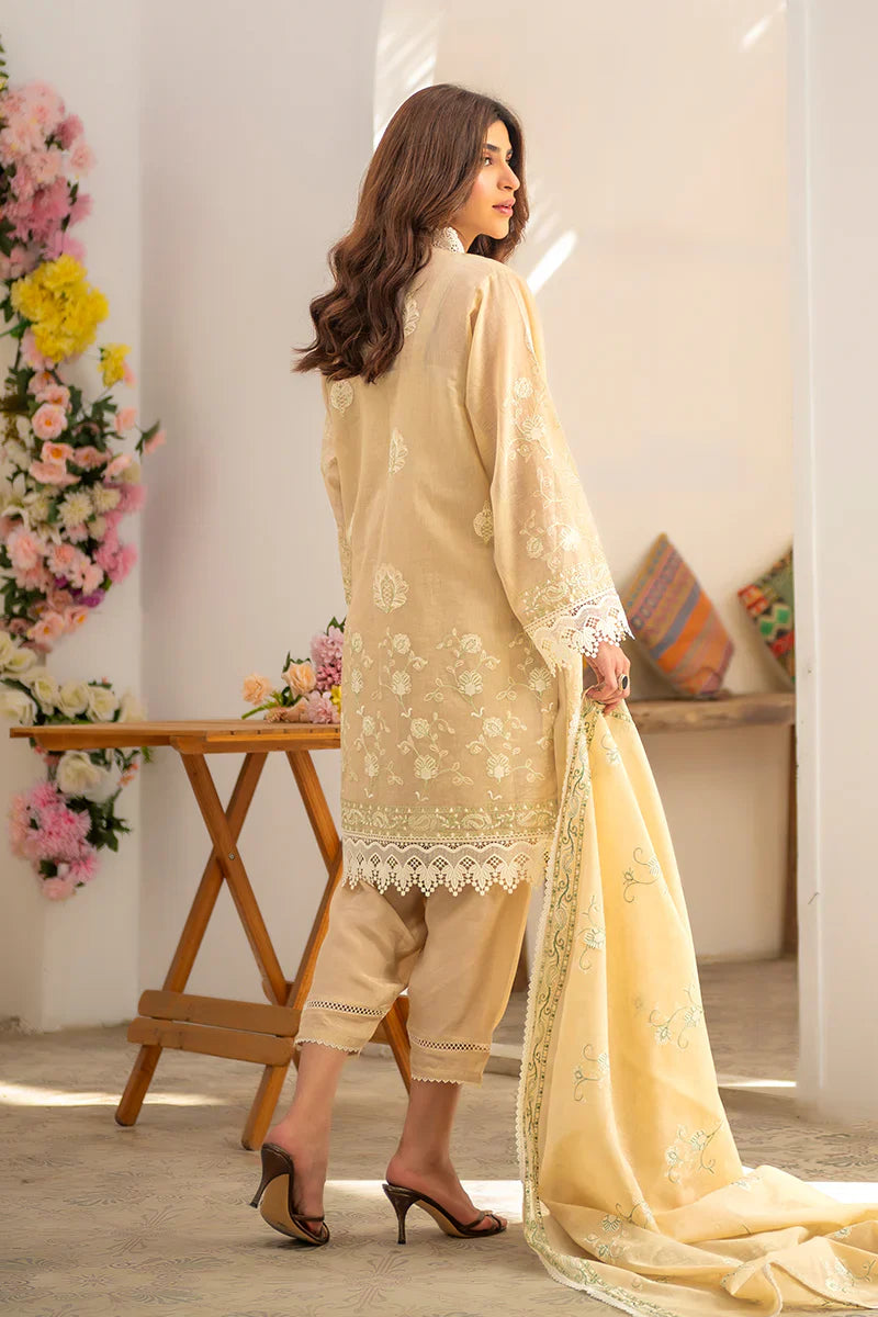 Ramzan Eid Festive'25 - Noor 11