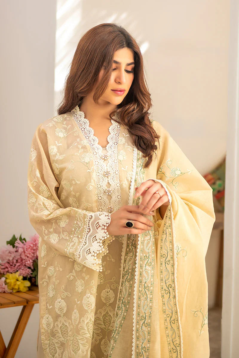 Ramzan Eid Festive'25 - Noor 11