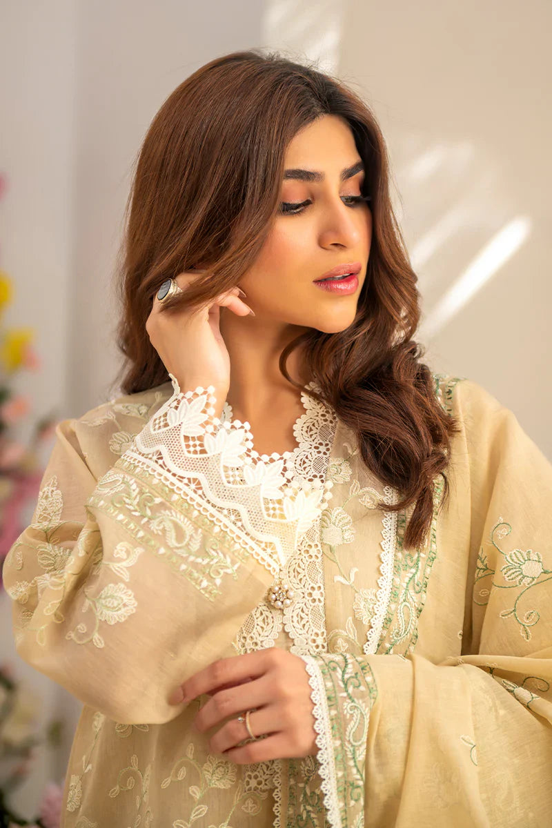 Ramzan Eid Festive'25 - Noor 11