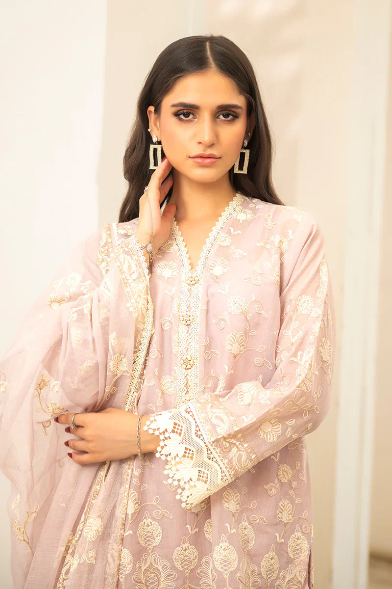 Ramzan Eid Festive'25 - Noor 7