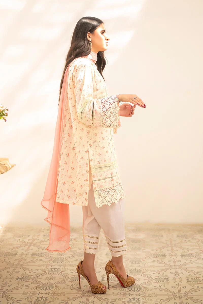 Ramzan Eid Festive'25 - Noor 16