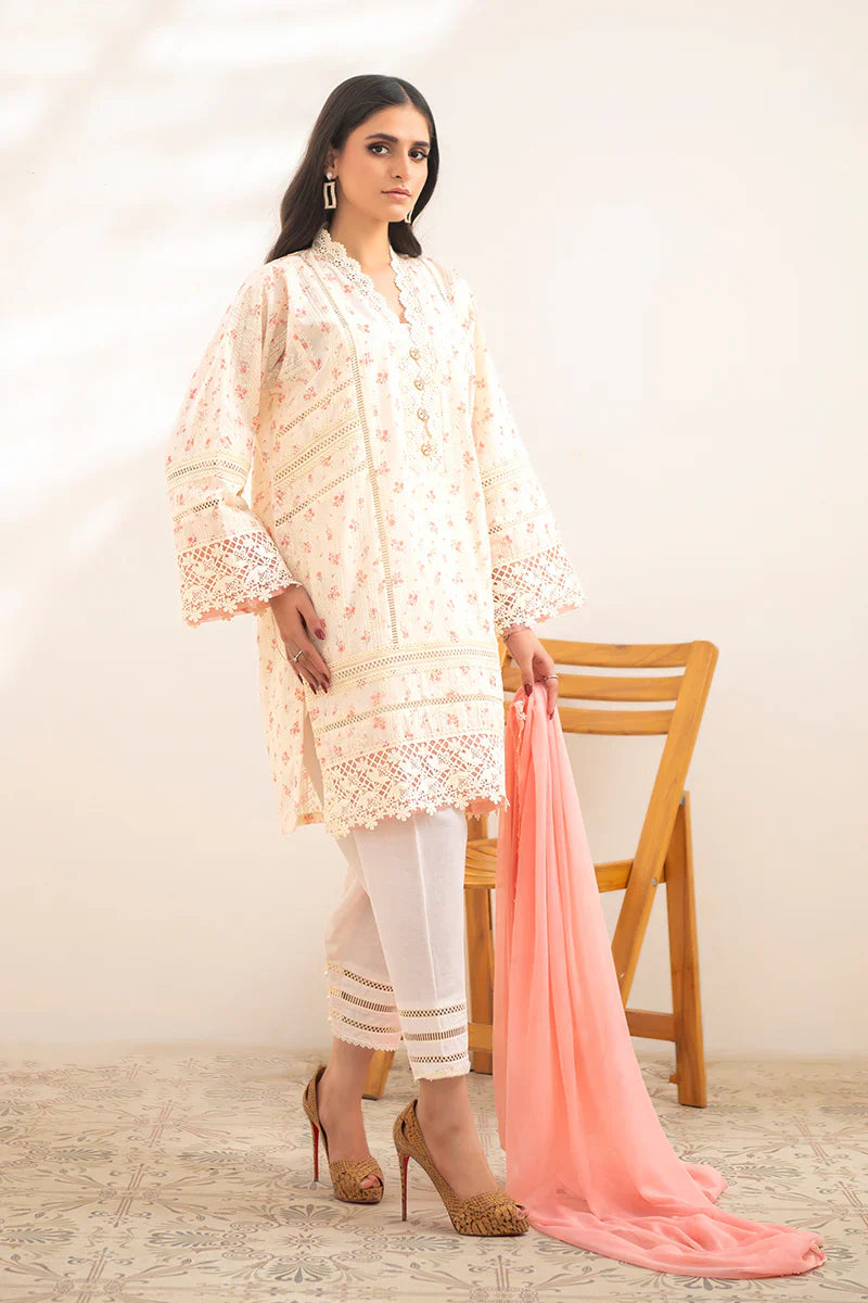 Ramzan Eid Festive'25 - Noor 16