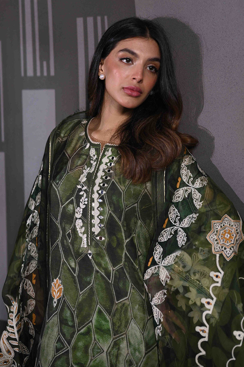 Sumaira Khanani Luxe Edit - Meerab (RTS) photo 4