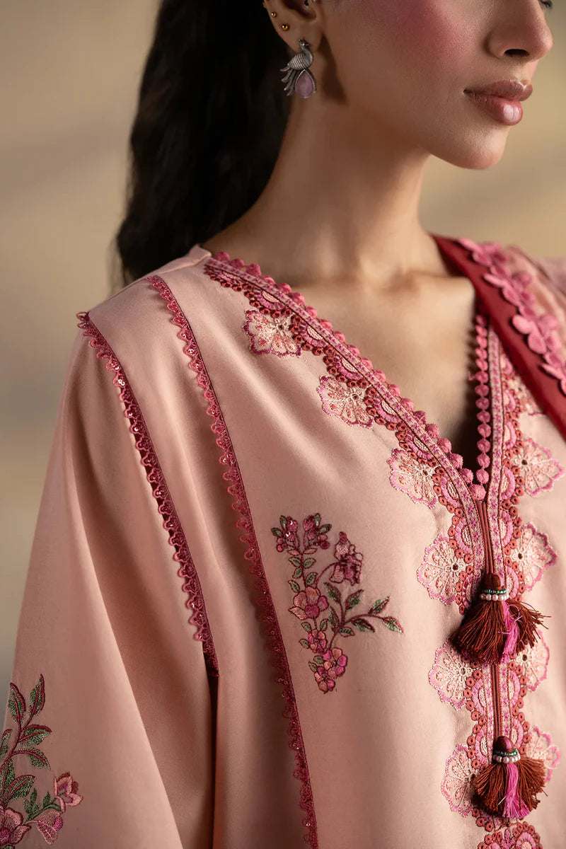 Rozana'25 - E0505/203/216