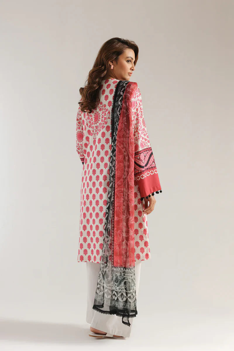 Rozana'25 - E0561/203/406