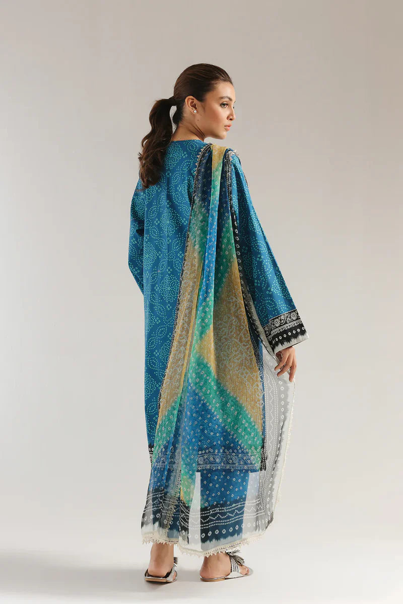 Rozana'25 - E0564/203/604