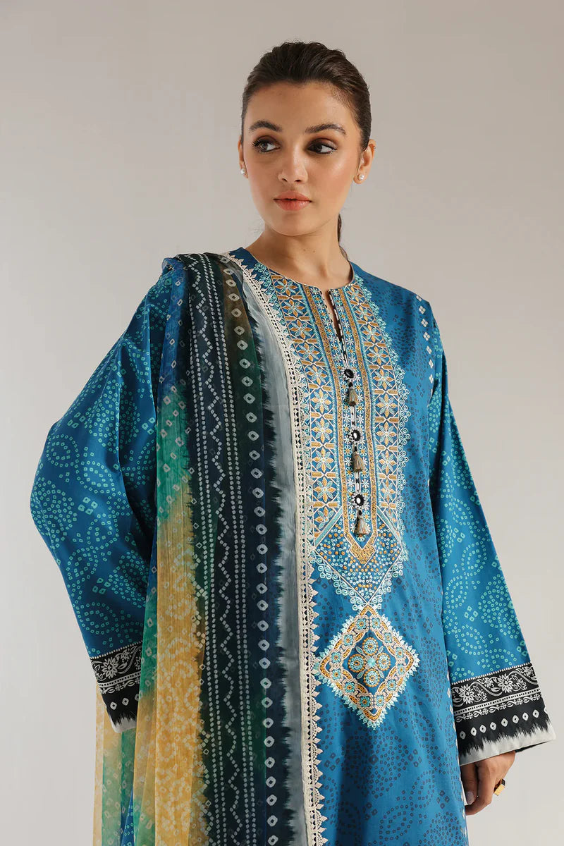 Rozana'25 - E0564/203/604