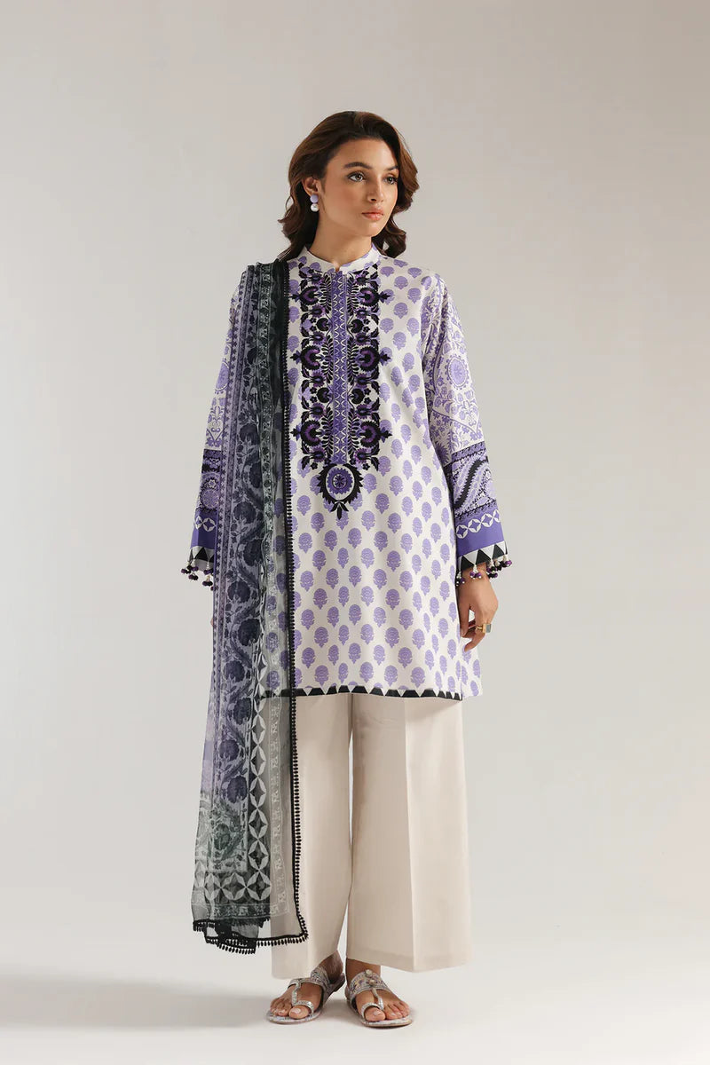 Rozana'25 - E0565/203/508