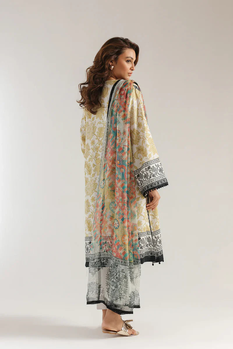 Rozana'25 - E0570/203/125