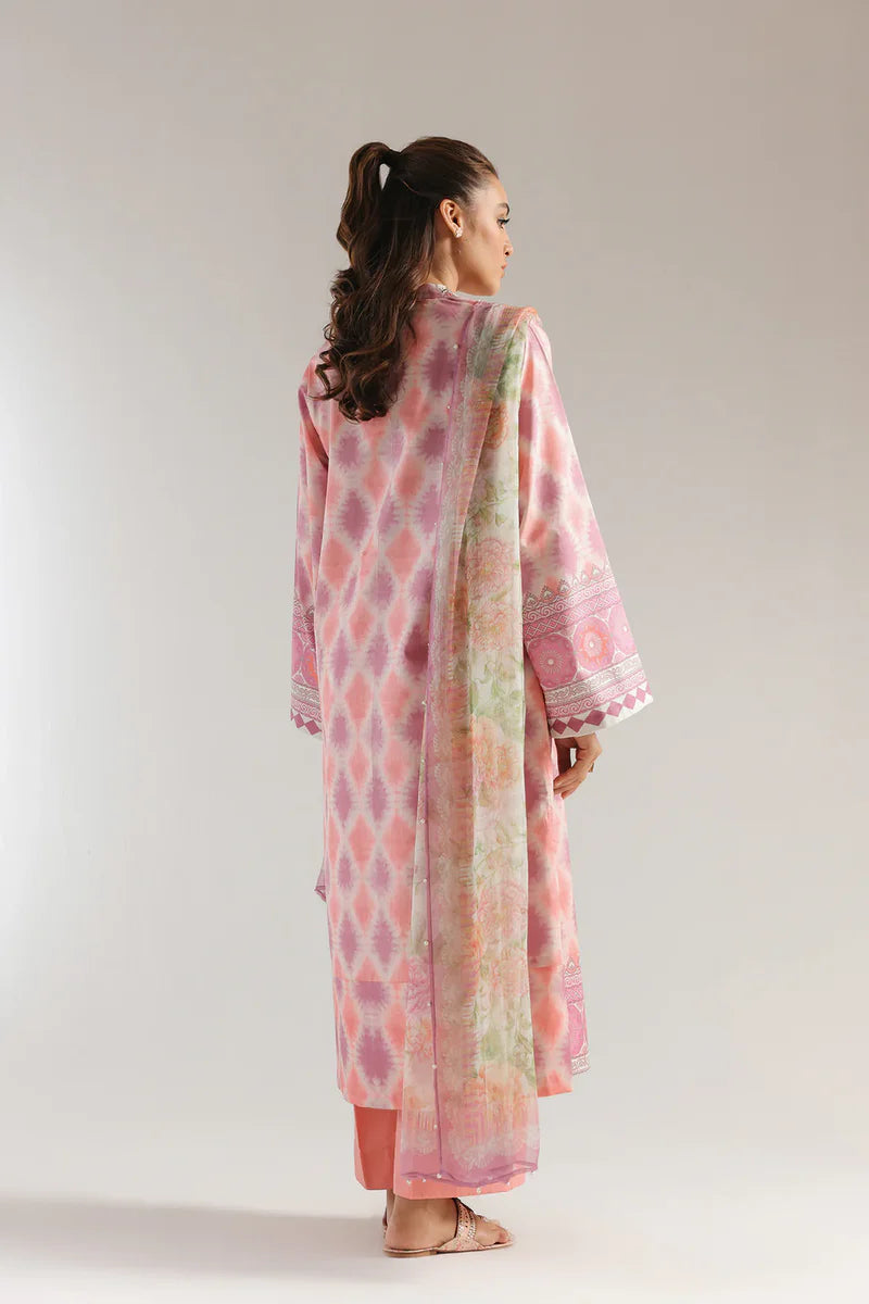 Rozana'25 - E0573/203/425