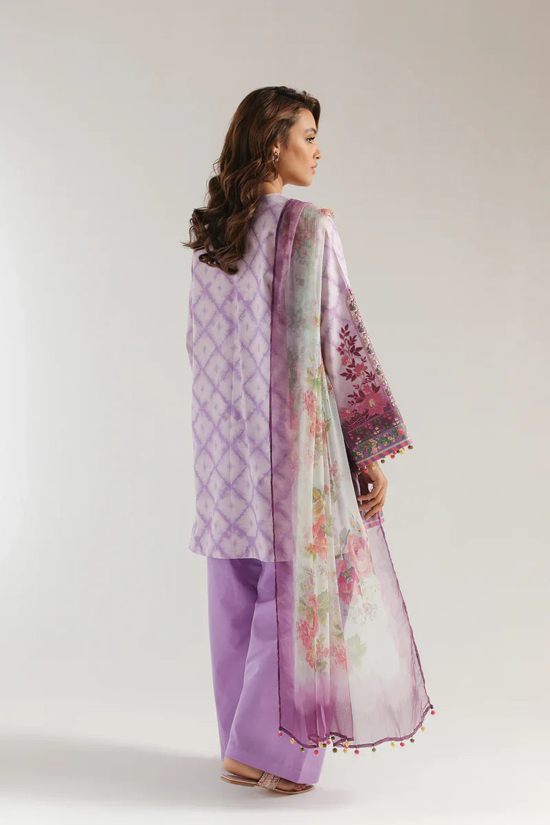 Rozana'25 - E0576/203/509