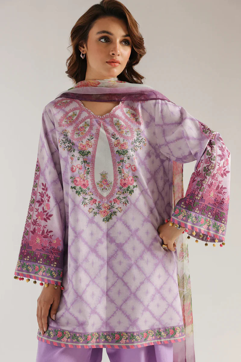 Rozana'25 - E0576/203/509