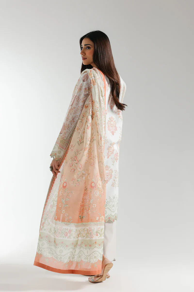 Rozana'25 - E0657/202/315