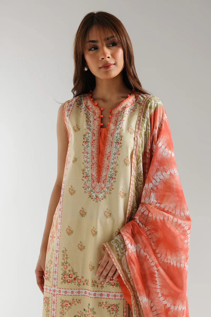 Rozana'25 - E0664/202/225