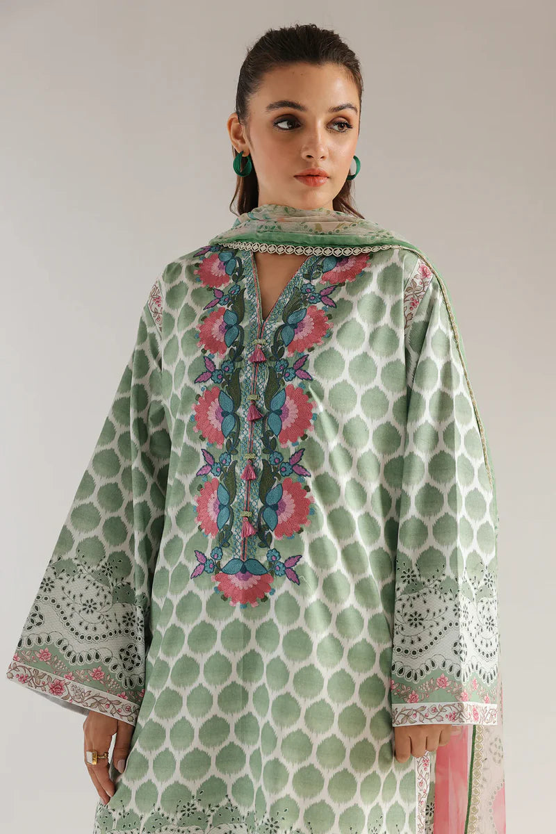 Rozana'25 - E0580/203/708