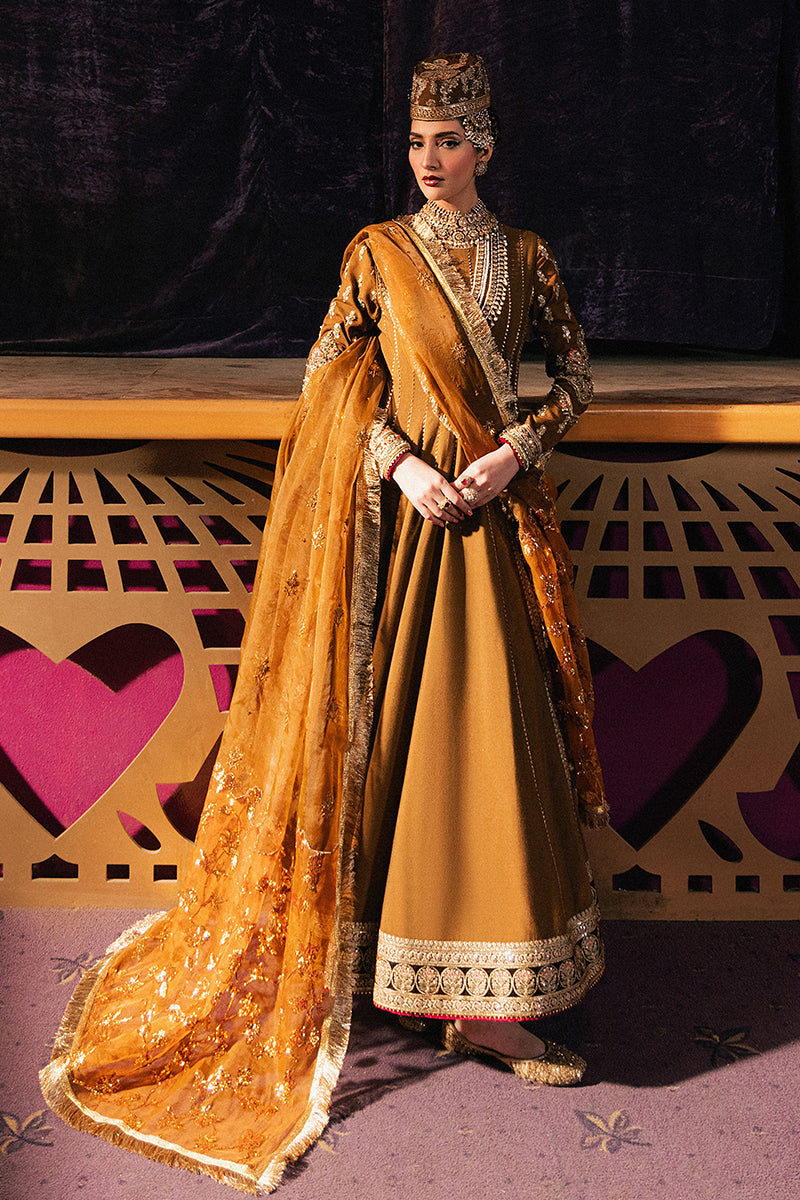 Roxy Cinema Velvet Edit FW 24/25 - Anjuman