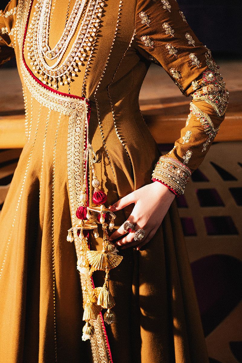 Roxy Cinema Velvet Edit FW 24/25 - Anjuman