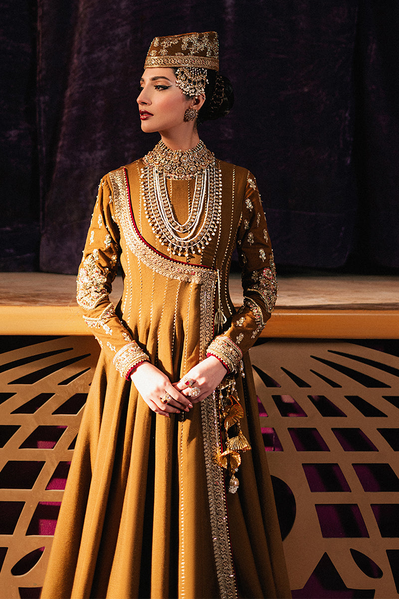 Roxy Cinema Velvet Edit FW 24/25 - Anjuman