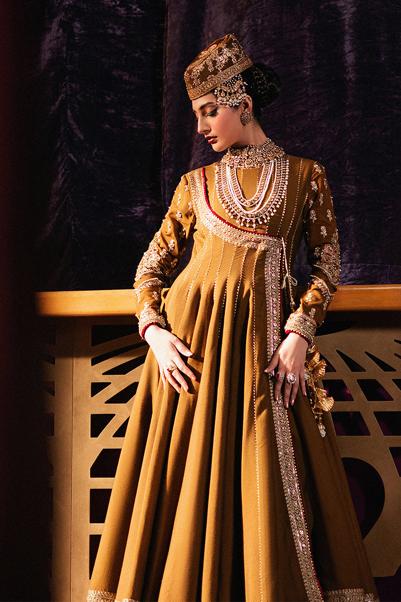 Roxy Cinema Velvet Edit FW 24/25 - Anjuman