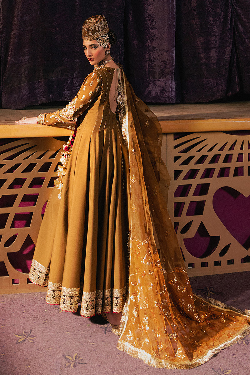 Roxy Cinema Velvet Edit FW 24/25 - Anjuman
