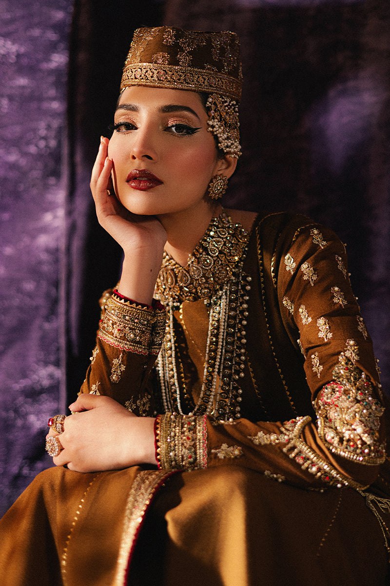 Roxy Cinema Velvet Edit FW 24/25 - Anjuman