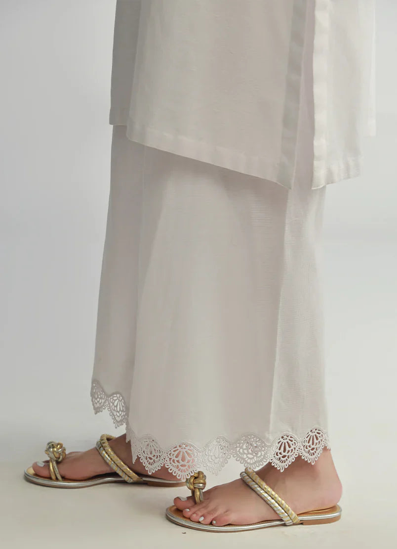 Spring Basics'25 - IJSL-213717