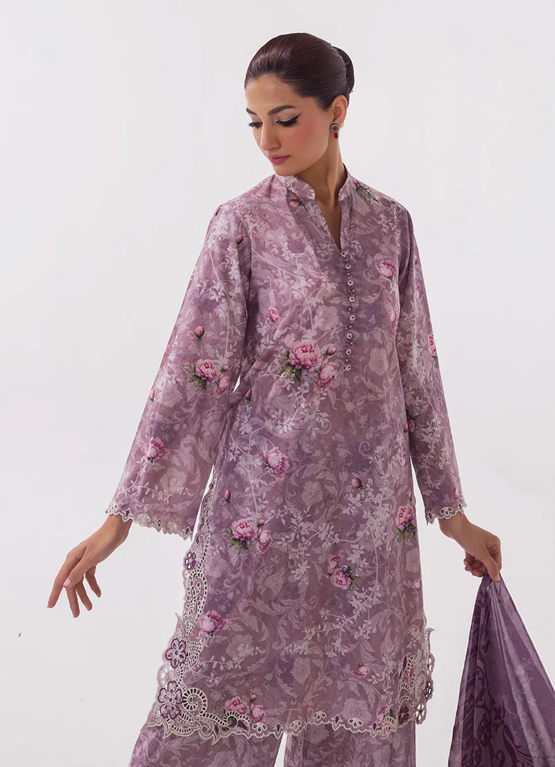 Spring Basics'25 - IMPRSS-214014-12489