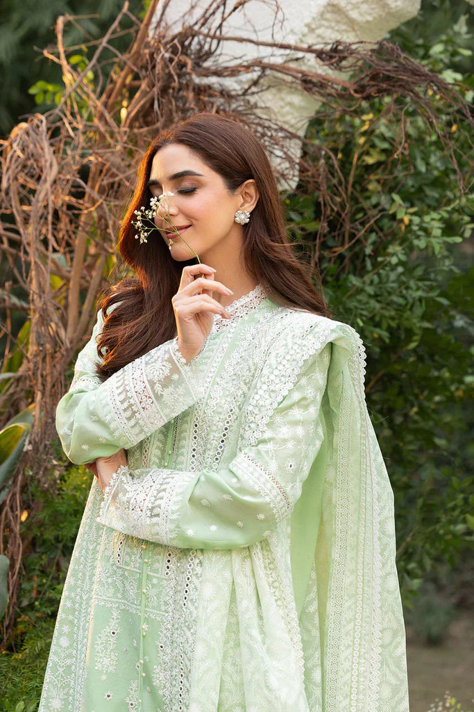 Luxury Lawn '25 - Design 7B