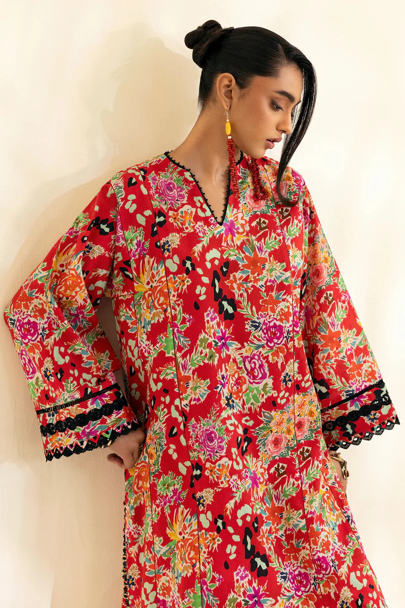 POP'25 - TIERRA (ZRW-21267)