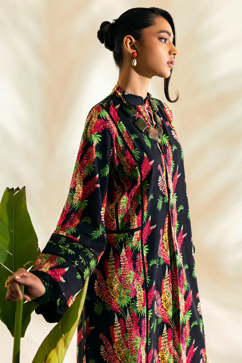 POP'25 - PALMIS (ZRW-21268)