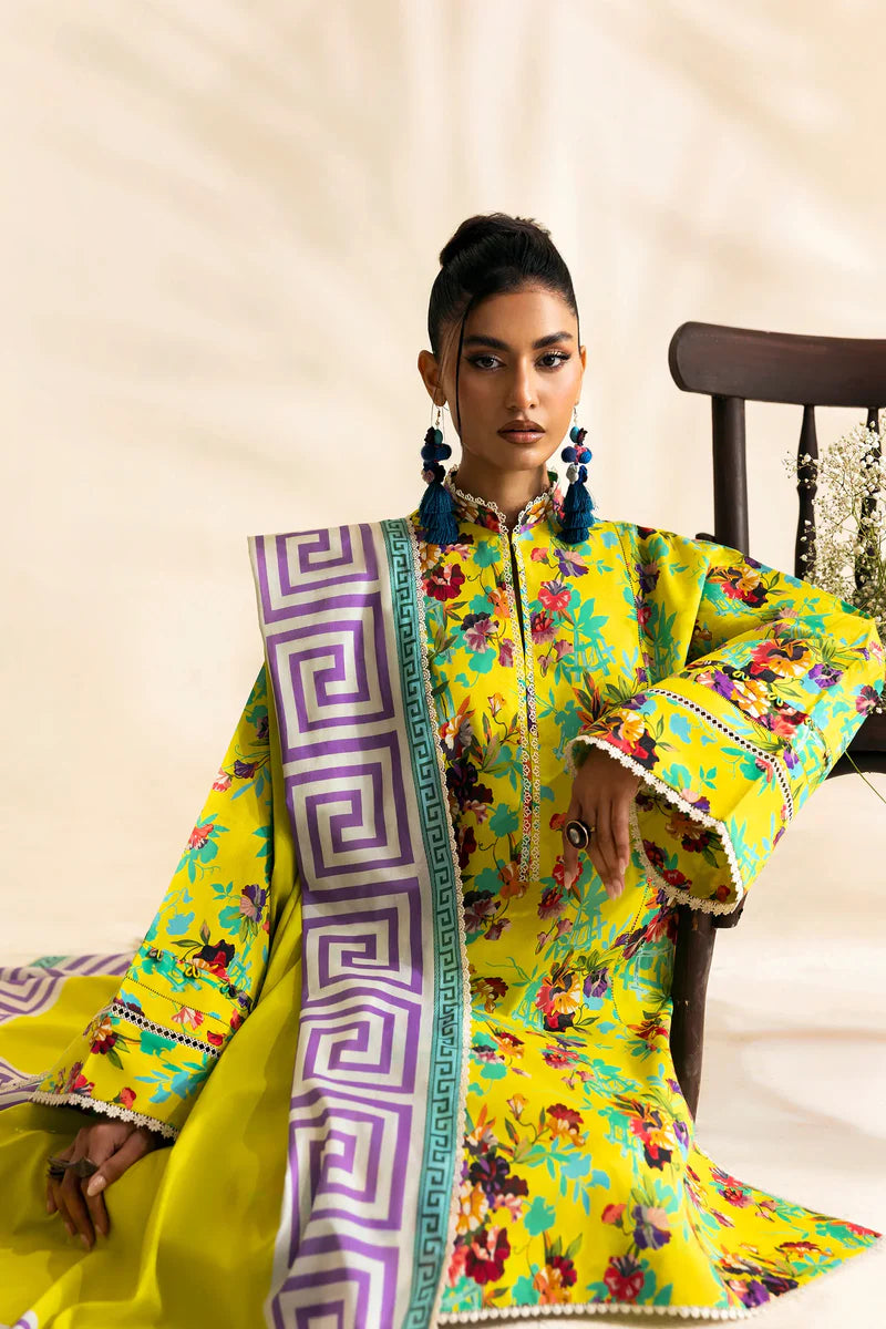 POP'25 - MARACU (ZRW-21269)