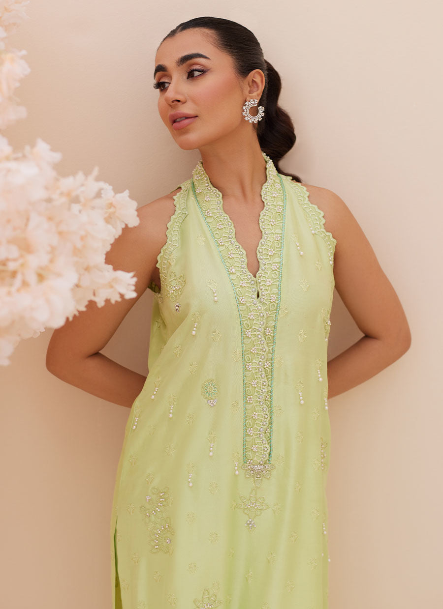 Zaza '25 - Pia Embroidered Raw Silk Shirt and Dupatta