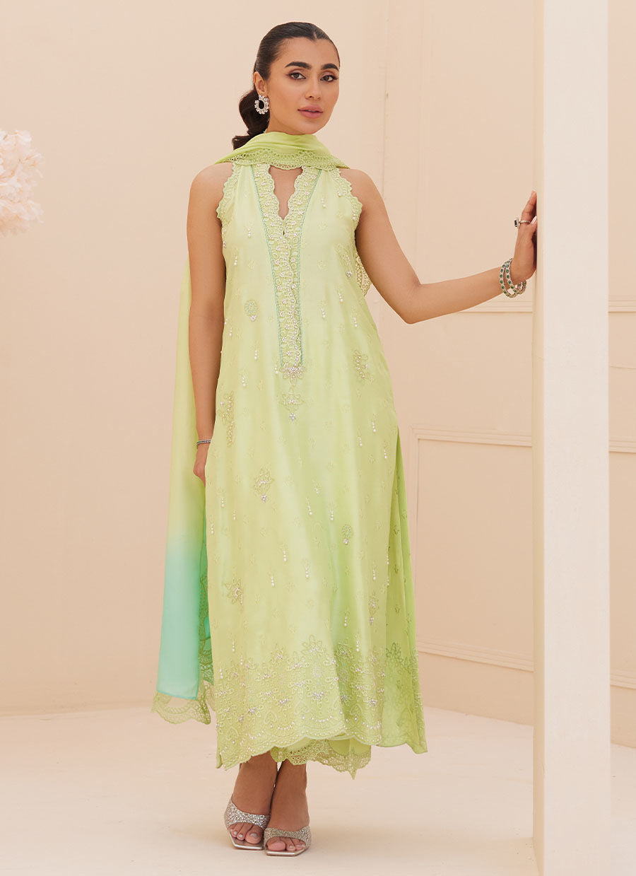 Zaza '25 - Pia Embroidered Raw Silk Shirt and Dupatta