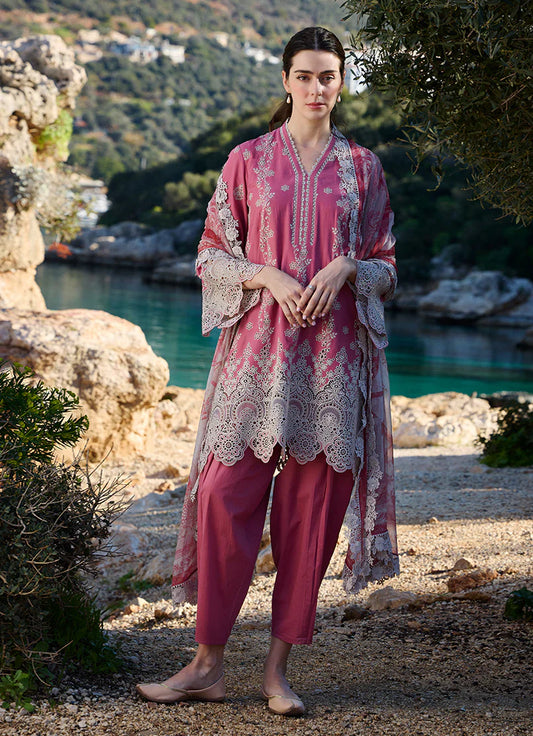 Lawnkari ’25- Iris