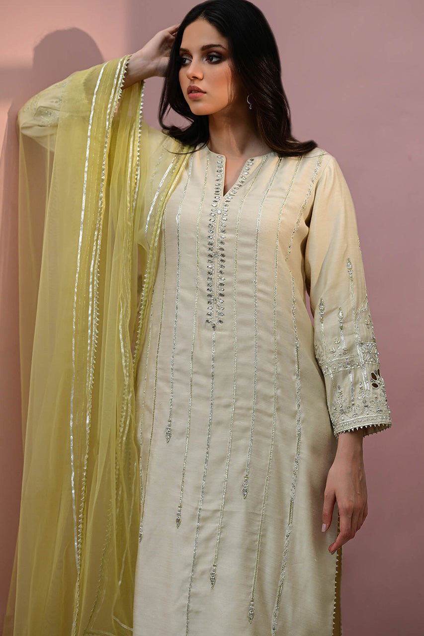 RSVP YES IN STYLE'24 - BINA & SKINNY SHALWAR