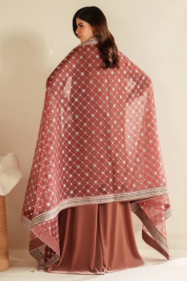 Velvet Vogue '25 - Embroidered Velvet Formal VVF D-3