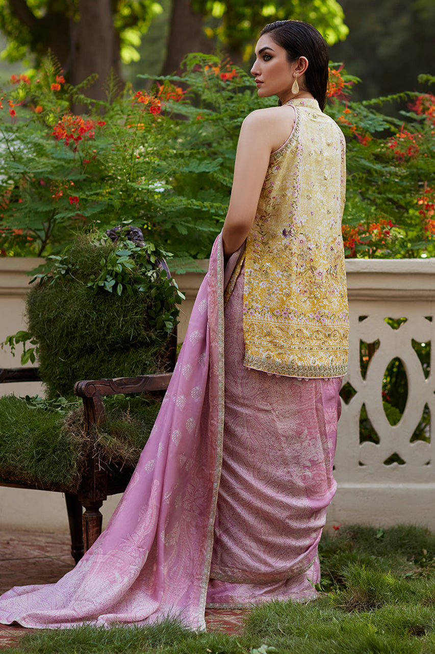 Mayna festive'24 - Iqala Saree, Blouse And Jacket